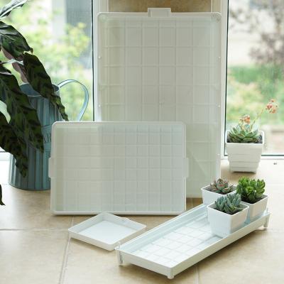 China Modern White Plastic /Black Square Plastic Garden Planter Nursery Succulent Tray for sale