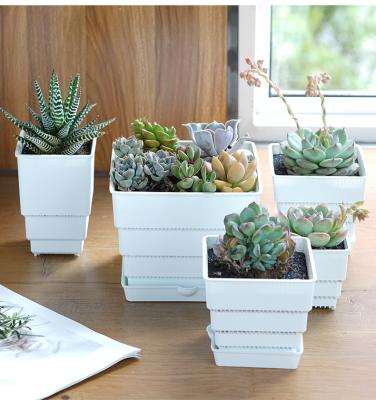 China 3inch PP Modern Succulent Square Nursery Cactus Plant Graft Root Control Aerated Pot for sale