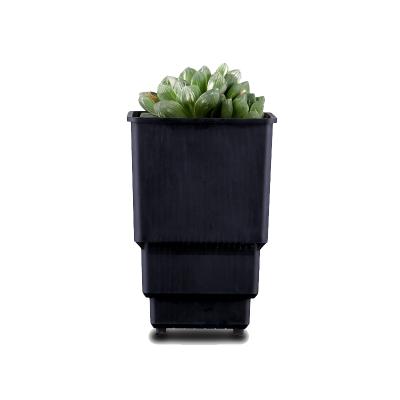 China Modern Square 8cm Height Pot Succulents Cactus Plant Pot 10cm High On Promotion for sale