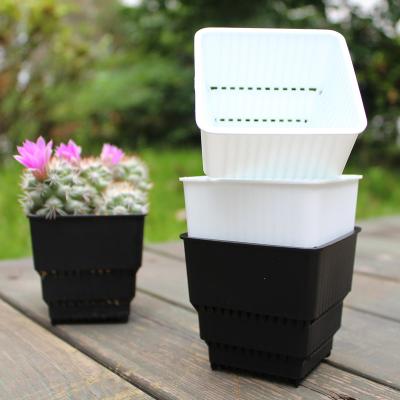 China Factory Wholesale Eco-friendly Pots For Table Flower Succulent Pot Mini Plastic Planter Set for sale