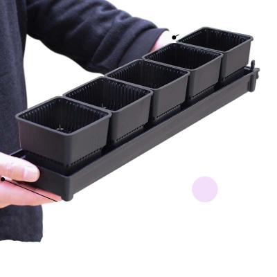 China Modern Plastic Meshpot 7cm Square Succulent Pot With Tray Set Cactus Pot Squares Garden Flower Planter for sale