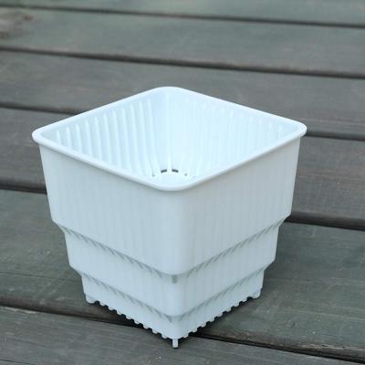 China Modern Plastic Square Nursery Pot Container and Seedling Seed Starting Graft Planter with Drain Hole for Succulents for sale