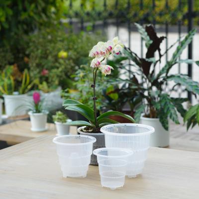 China Modern Meshpot 12cm Orchid Specialized Planting Pot Plastic Flower Pot With Ventilated Holes For Balcony Garden for sale