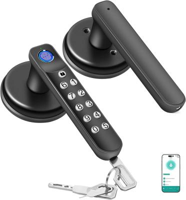 China Smart Fingerprint Door Lock, Keyless Entry Door Lock with Handle, Biometric Door Lock for Bedroom and Office for sale