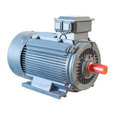 China AC 2 Pole 3 Phase Induction Motor IP55 Electric Motor 15 Hp Low Voltage for sale