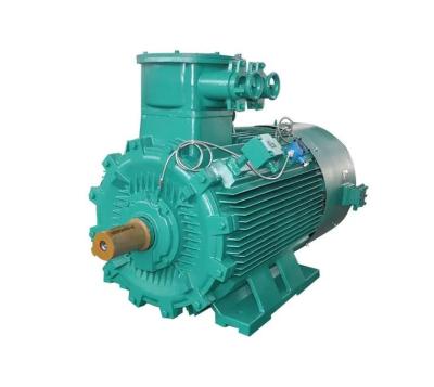 China 380v Explosion Proof Induction Motor / AC Motor IP55 High Efficiency for sale