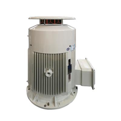 China 0.12KW - 315KW Low Voltage Electric Motor Asynchronous Electrical AC Motor for sale