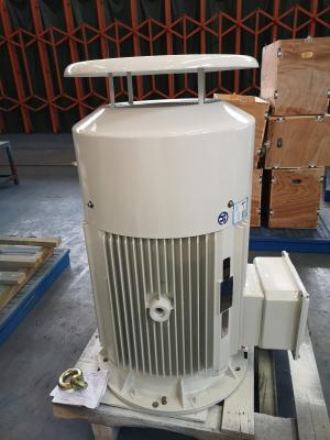 China AC Inductiemotor 3 de Hoge Stabiliteit van de Fase40kw 50kw 60kw Elektrische Motor Te koop