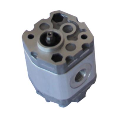 China Other professional production mini displacement gear pump idirectional hydraulic gear pump for sale