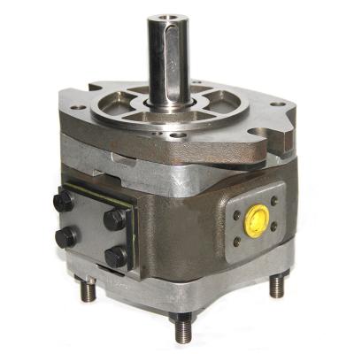 China Other Internal Hydraulic Gear Pump Stainless Steel Gear Oil Pump NBL3A1-251L-H01 for sale