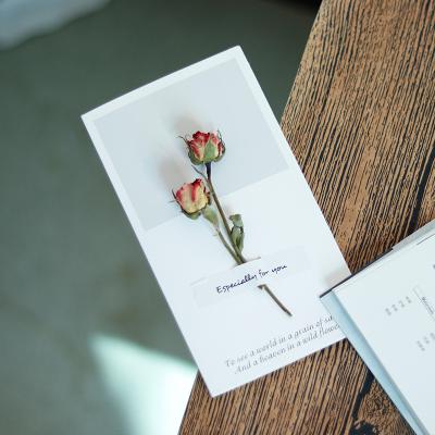 China Wholesale Rose Greeting Card Writing Blessing Rose Rabbit Tail Grass Dried Europe Flower Artistic Fresh Starry Card for sale