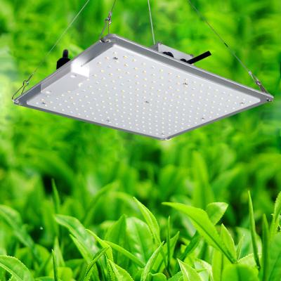 China GEBOSUN Small Lm301H Modular Slim Panel Growing 277V Custom Indoor Garden Led Grow Lights for sale