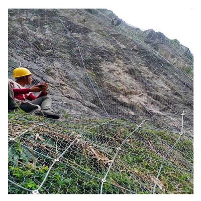 China 1770 Mpa Woven Protective Mesh High Tensile Strength Yarn Active Slope Prevention Slope Net for sale