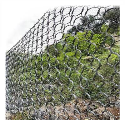 China Mesh Hot Sale China Manufactory Quality Slope Ring Net Protective Passive Mesh Protection for sale