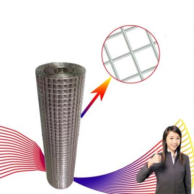 China Protective Mesh Singapore 304 Stainless Steel Corrosion Resistance High Quality Welded Wire Mesh for sale