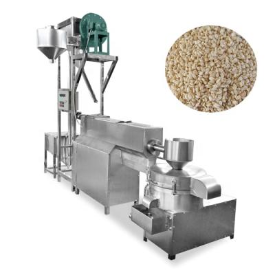 China Snack Plant Seed Machinery Cocoa Beans Cleaning Drying Machine for sale