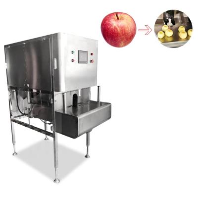 China High Efficiency Easy Operate Vegetable Peeler Machine Fruit Crusher Automatic Fruit Cassava Peeling Machine for sale