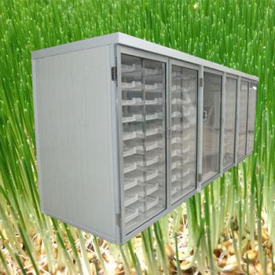 China Automatic Mung Bean India Hydroponics Tray Fodder Machine Wheatgrass Machine for sale