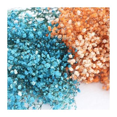 China Fashional Artificial Flowers Wholesale Dry Flowers Preserved Gypsophila Preserved Babysbreath For Wedding Decoration for sale