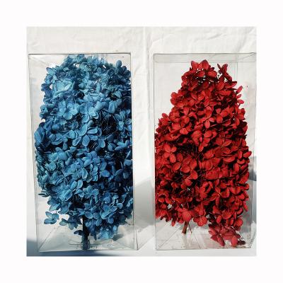 China Wholesale Natural Fresh Flower Decorative Flowers Preserved Everlasting Flowers Boxed Hydrangeas Hydrangeas for sale