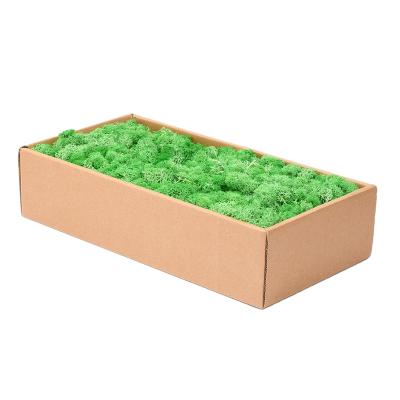 China Wedding Decoration Yunnan Stabilized Lichen Reindeer Moss Decorative Moss Immortal Multicolor Wholesale for sale