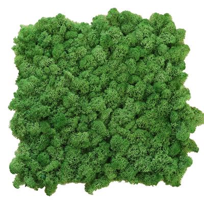 China Wholesale Immortal Preserved Foam Yunnan Foam Board Reindeer Moss Wall for sale