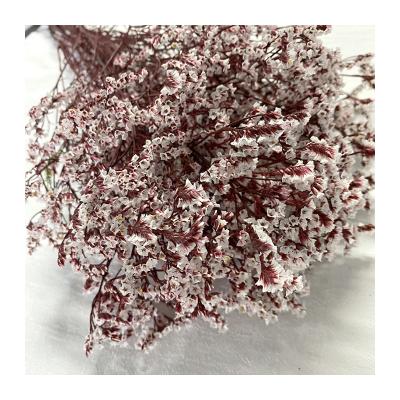 China Natural Fresh Flower Unite States Most Popular Wholesale Flower Preserved Crystal Grass For Mothers Day for sale