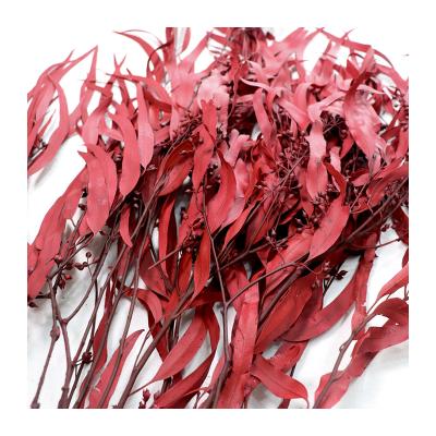 China New Popular Romantics 2021 Wedding Hot-selling Home Decoration Preserved Plants Eucalyptus Leaves for sale