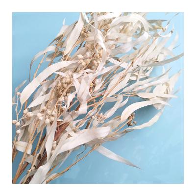 China 2021 Hot-selling wholesale white preserved eucalyptus romantics leaves for wedding decoration for sale