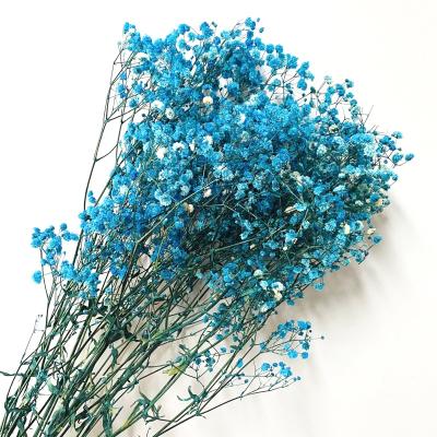 China Keep Amazon Most Popular Long Periods Home Decorative Babysbreath Flowers Preserved Gypsophila for sale