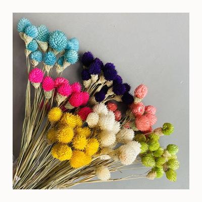 China Highly Application Wholesale Dried Natural Dried Flower Bouquet Strawberry Fruit Flower For Wedding Decoration for sale