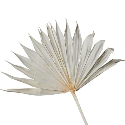 China Artificial Dry Leaves Mini Sun Palm Leaf Palm Leaves Flowers Dry Durable Flower Decoration Small for sale