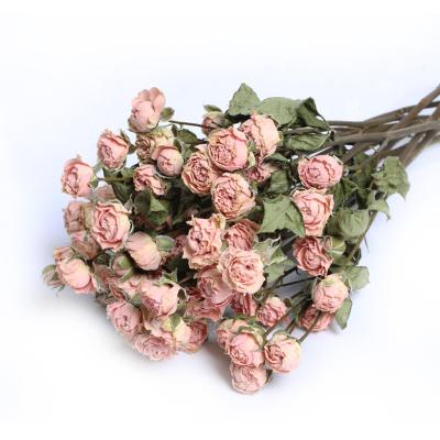 China Natural Touch Yunnan Rose Flowers Romantic Colorful Dries Popular For Wedding Home Decoration for sale