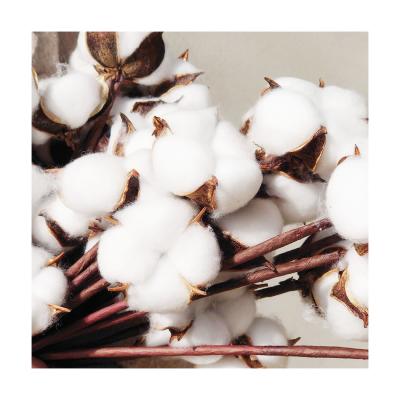 China Yunnan natural wholesale popular home decoration floristic touch cotton material dry flowers for sale