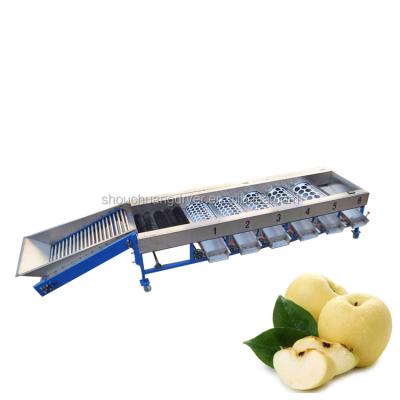 China Commercial Automatic Orange Tomato Washing Sorter Dimension Snacks Factory Shouchuang Fruit Sorter for sale