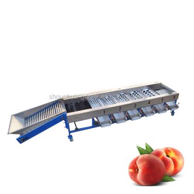 China Factory sale hot electric tomato dimension fruit and vegetable snack sorter for sale