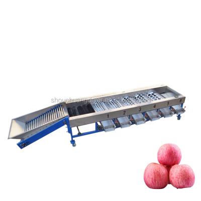 China Snack Factory Sweet Potatoes Washing Drying Sorter Garlic Sweet Potato Vegetable Cleaning Drying Sorter And for sale