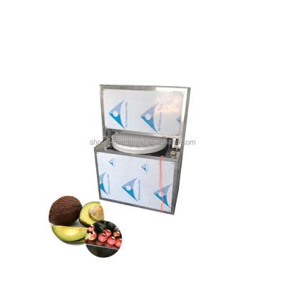 China Factory Shouchuang Fruit Pitting Machine Apple Kiwi Plum Peeling Machine for sale