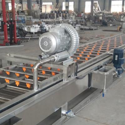 China High Efficiency Carrot Fruit And Vegetable Industrial Food Processing Washing Drying Desiccant Machinery for sale