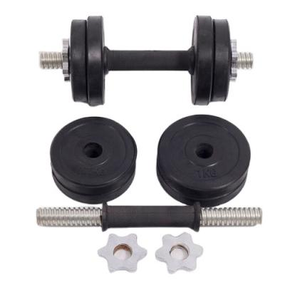 China Customized high quality cheap durable standard online shopping private logo dumbbell set weightlifting dumbbells for sale