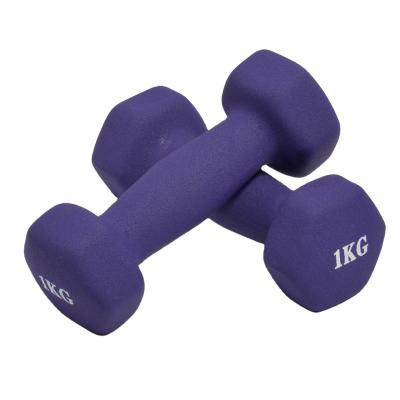 China Plastic Dip Into The Dumbbell Factory Direct Selling Cheap Home Workout Girl Purple 2 Kg Dumbbells for sale