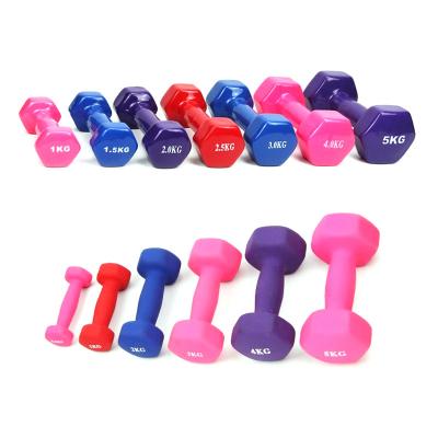 China Dingzhou Wholesale Cheap Dingzhou Small Rubber Fitness Hex Fitness Small Dumbbell 5kg Plastic Dip Set for sale