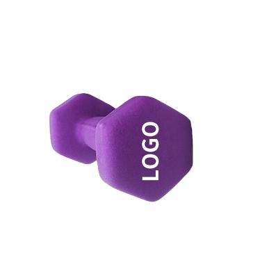 China Plastic Dip In Dumbbell Factory Wholesale Rubber Cast Dumbbell Fitness Set Cheap Pink for sale