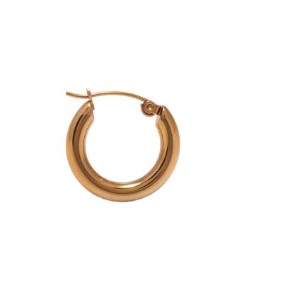 China Vintage Earring Fashion 18k Gold Plated Stainless Steel Jewelry Hoop Earrings For Women 2021 for sale