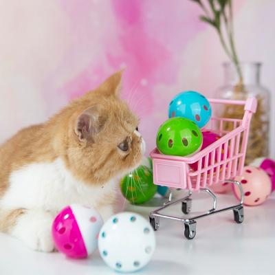 China Sustainable Ball With Bell Ring Toys For Cats Plastic Jingle Playing Chew Rattle Scratch Balls Interactive Cat Training Toys Pet Cat Supply for sale