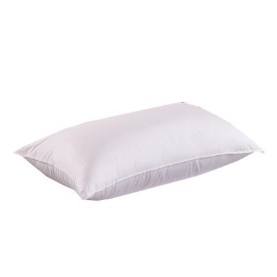 China Fold Proof 100% White Cotton Feather Down Velvet Small Pillow For Bedding Rectangular 100% Polyester Sleeping Solid King Size for sale