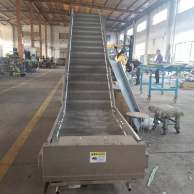 China Heat Resistant Custom Stainless Steel Chain Conveyor For Food Transport Equipment for sale