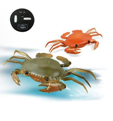 China RC Pet Toy Drop Shipping Plastic Rc Crab With Infrared Ray Animals Toy Summer Game Ray Minute Remote Control Animal Toys IR for sale