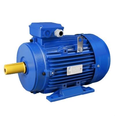 China 55 IE3 Premium Efficiency IEC Standard Motor for sale