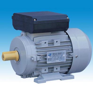 China Single Phase Totally Enclosed Dual Capacitors Motor for sale